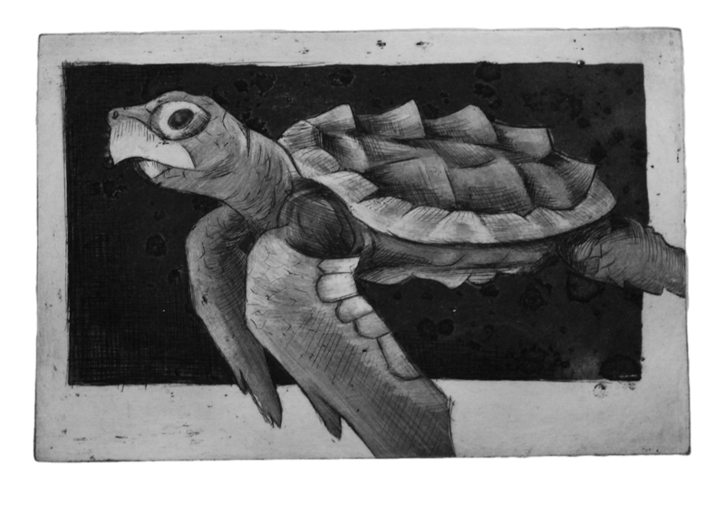 Sea turtle, Intaglio print 8x10